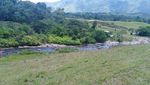 Potret Sungai Jacuzzi Alami di Kolombia