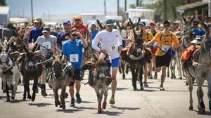 Coba Maraton Unik di Colorado, Lari Berdua Bareng Keledai