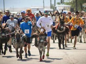 Coba Maraton Unik di Colorado, Lari Berdua Bareng Keledai