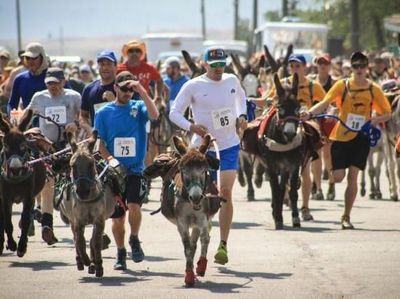 Coba Maraton Unik di Colorado, Lari Berdua Bareng Keledai