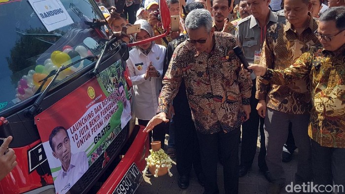 Kementan Sebar 10 Juta Bibit Benih Perkebunan untuk Petani