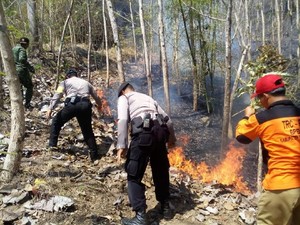 Tujuh Hektare Hutan di Trenggalek Ludes Terbakar