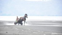 Acara ini rencananya akan berlangsung hingga empat hari ke depan. Kuda-kuda dari Kabupaten Dompu dan Kabupaten Kota Bima akan bertanding di lokasi arena unik ini. (Faruk Nickyrawi/detikTravel)