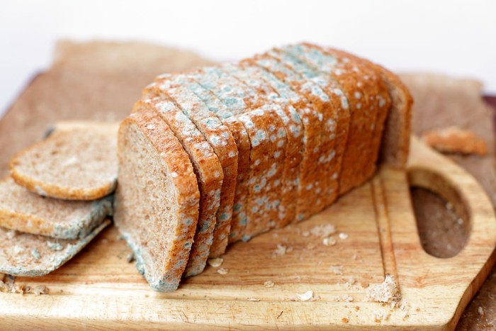 Foto: Istock Foto: Istock