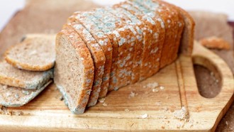 4 Makanan Berjamur Ini Harus Langsung Dibuang, Bisa Picu Kanker!