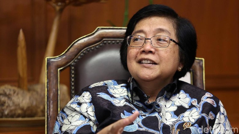 Ini Harga Buaya dan Orang Utan Selundupan Versi Menteri LHK Ini Harga Buaya dan Orang Utan Selundupan Versi Menteri LHK