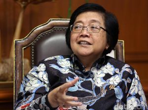 Menteri Siti Lapor ke Jokowi soal Kebakaran Hutan: Ada Api Langsung Dimatiin