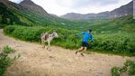 Coba Maraton Unik di Colorado, Lari Berdua Bareng Keledai