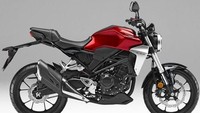 Ini Versi asli dari Honda CB250R Foto: Newmotor.com.cn