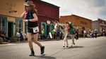 Coba Maraton Unik di Colorado, Lari Berdua Bareng Keledai