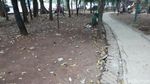 Foto: Potret Taman Kota BSD yang Kini Penuh Sampah