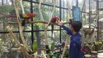 Foto: Asyik! Ada Taman Burung Macaw di Bandung