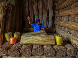 Deretan Jawara Foto Lingkungan Bikin Mengelus Dada