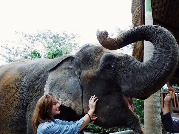 Tak hanya ke pantai, Nora yang punya darah blasteran Indonesia-Swiss ini juga terlihat asyik bercengkrama dengan seekor gajah di Bali Zoo. Gemas! (Instagram/@ncdpapl) Tak hanya ke pantai, Nora yang punya darah blasteran Indonesia-Swiss ini juga terlihat asyik bercengkrama dengan seekor gajah di Bali Zoo. Gemas! (Instagram/@ncdpapl)