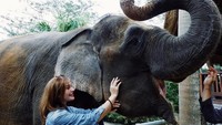 Tak hanya ke pantai, Nora yang punya darah blasteran Indonesia-Swiss ini juga terlihat asyik bercengkrama dengan seekor gajah di Bali Zoo. Gemas! (Instagram/@ncdpapl)