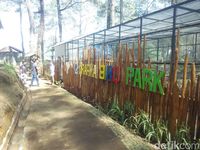 Baru Nih! Lembang Punya Taman Burung dari Luar Negeri