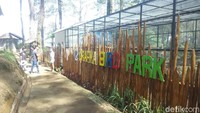 Sesuai dengan namanya, pengunjung bisa menikmati interaksi dengan berbagai jenis burung. Hewan lucu itu khusus diimpor dari Amerika Selatan, yakni burung Macaw (Rachmadi Rasyad/detikTravel)