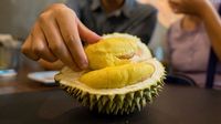 Unduh 80 Gambar Durian King  HD