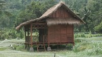 Rumah-rumah warga di Lombok Utara kini hampir semuanya rata dengan tanah dampak dari bencana gempa bumi yang mengguncang Lombok kurang lebih selama satu bulan. Namun rumah di Kampung Ekowisata Kerujuk yang dijadikan sebagai bungalow untuk para tamu dan tak terdampak gempa sedikitpun (John/Istimewa)