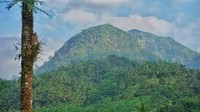 Perbukitan mengelilingi Kampung Ekowisata Kerujuk. Minim polusi dan pastinya memiliki suasana yang menenangkan bila menginap di sini (John/Istimewa)