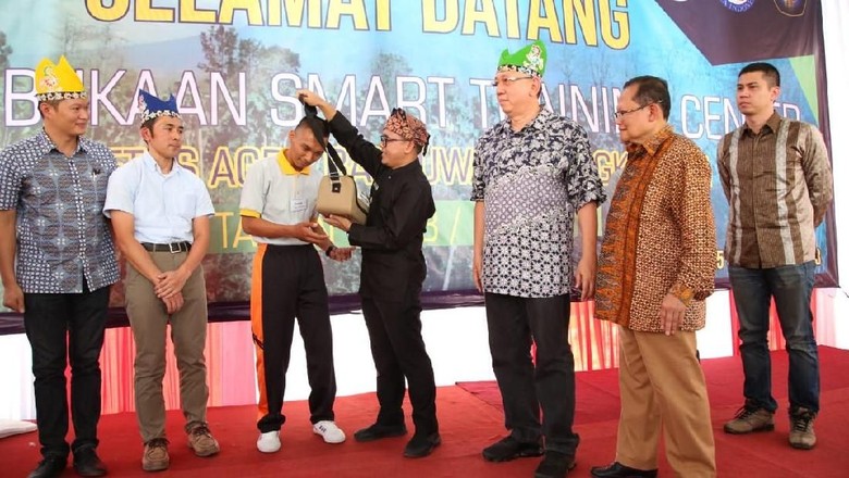 Bupati Anas Ingin Pertanian Modern Pacu Sektor Hortikultura Bupati Anas Ingin Pertanian Modern Pacu Sektor Hortikultura