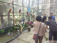 Baru Nih! Lembang Punya Taman Burung dari Luar Negeri