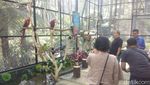 Foto: Asyik! Ada Taman Burung Macaw di Bandung