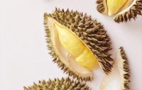 Unduh 95 Gambar Durian Kocak  