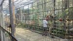 Foto: Asyik! Ada Taman Burung Macaw di Bandung