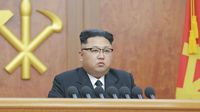 Jamur Rp 19.9 Miliar Ini Dihadiahkan Kim Jong Un untuk Korea Selatan
