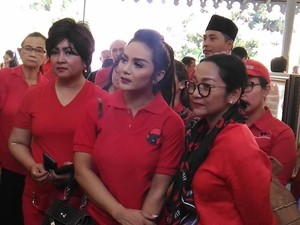 Rontoknya Caleg dari Kalangan Artis
