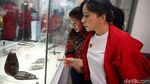 PDIP Ajak Krisdayanti Hingga Kirana Larasati Kunjungi Museum
