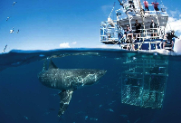  Foto: dok. Australia.com