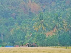 Potret Sejuk dan Asrinya Desa Wisata di Lombok Utara
