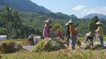 Potret Sejuk dan Asrinya Desa Wisata di Lombok Utara