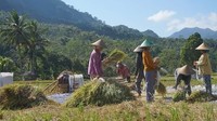 Kampung Ekowisata Kerujuk sudah dikenal dengan suasana pedesaan yang kental dengan nuansa alam hijau yang eksotik (John/Istimewa)