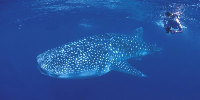  Foto: dok. Australia.com