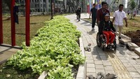 Atlet Asian Para Games melintas di taman yang masih dirapikan. Hari ini mereka mengikuti simulasi waktu tempuh perjalanan atlet dari Wisma Atlet Kemayoran ke lokasi venue-venue pertandingan.