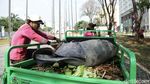 Jelang Asian Para Games, Wisma Atlet Kemayoran Hidup Lagi