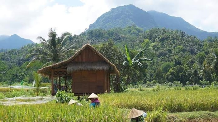 Kampung Ekowisata Kerujuk Lombok Utara