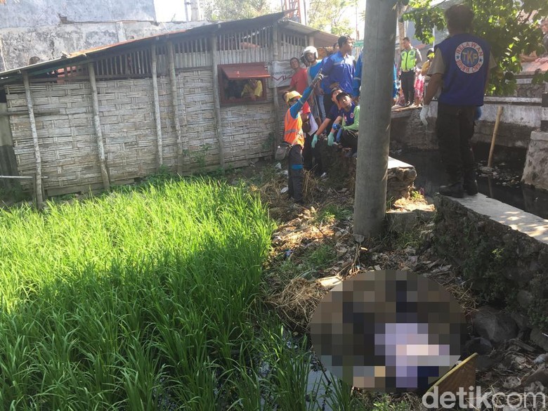 Kabel Menjuntai Tewaskan Perempuan Buruh Tani di Mojokerto Kabel Menjuntai Tewaskan Perempuan Buruh Tani di Mojokerto