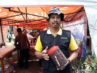 Ini Keunikan Kopi Merapi Sleman yang Disukai Orang Eropa 