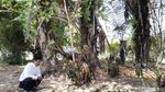 Foto: Tempat Ritual Minta Jabatan di Ciamis