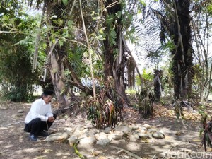 Ritual Nepus di Ciamis dan Mitos Memohon Jabatan