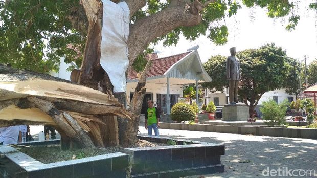 Pohon Gada Berusia 40 Tahun di Istana Gebang Blitar Roboh 