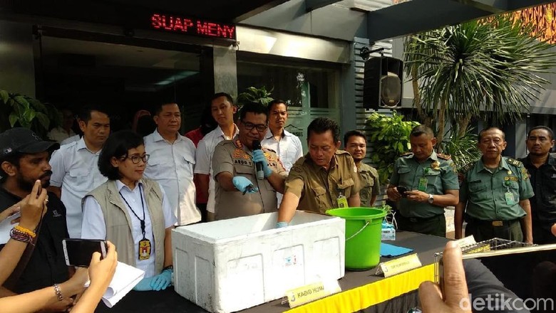 Jual Kura-kura Moncong Babi Via Medsos, 9 Pria Ditangkap Jual Kura-kura Moncong Babi Via Medsos, 9 Pria Ditangkap