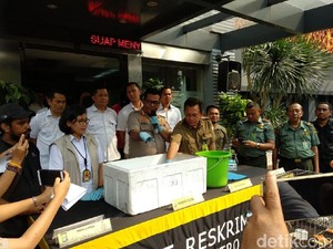 Jual Kura-kura Moncong Babi Via Medsos, 9 Pria Ditangkap