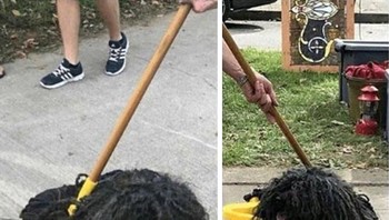 Dikira kain pel, ternyata seekor anjing. (Foto: Brightside)