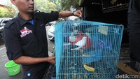 Sembilan orang berinisial BJ, EV, ZN, RSB, AL, ES, MYN, AF dan SF ditangkap dalam kasus ini.