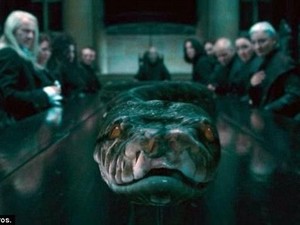 Tentang Nagini, Ular di Harry Potter yang Mitosnya dari Jawa